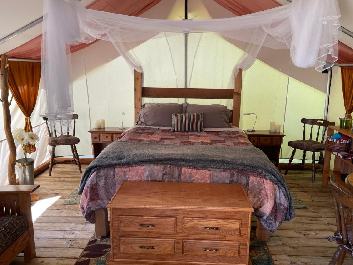 Готель So Damn Lucky Glamping Юклулет Екстер'єр фото